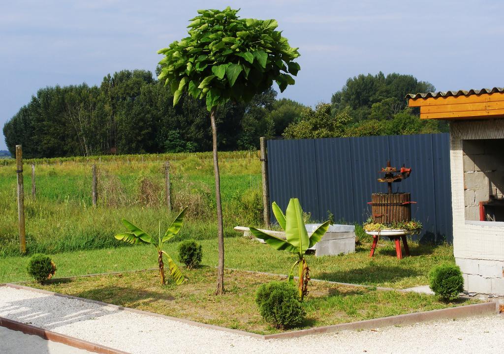 Szerencsecsillag Vendeghaz Kiskoros Exterior photo