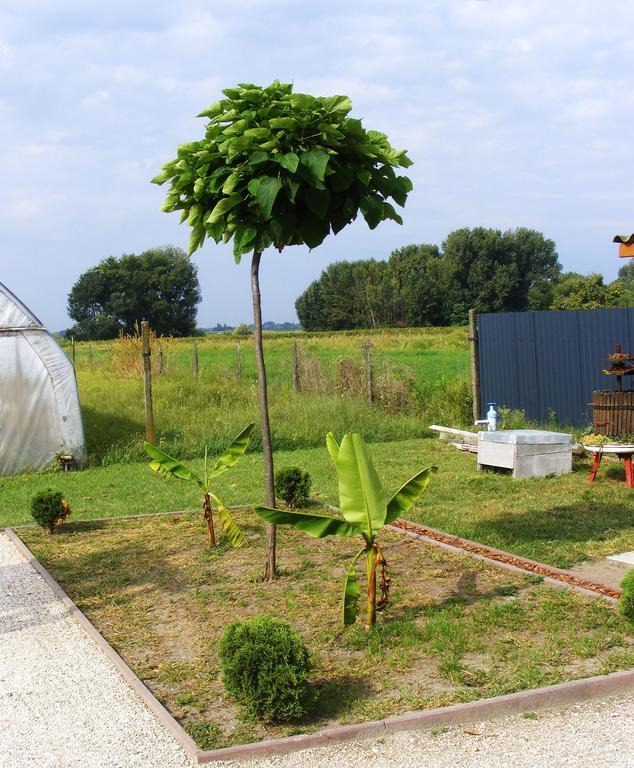 Szerencsecsillag Vendeghaz Kiskoros Exterior photo